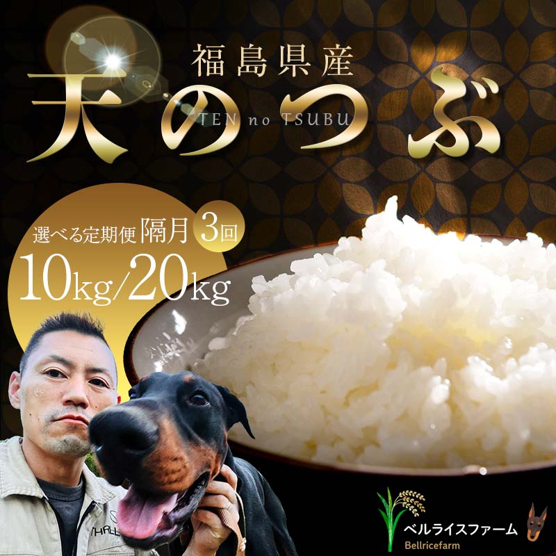 【ふるさと納税】 《選べる容量》 【お米の定期便 2025年12月より隔月3回配送】農家直送 天のつぶ 無洗米 10kg/20kg 全3回 F6U-186var