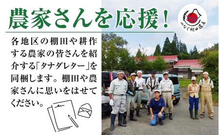 【定期便／全6回】精米2kg　令和7年産新潟県十日町市魚沼産コシヒカリ「つなぐ棚田米」 米 こしひかり 精米 定期 十日町市