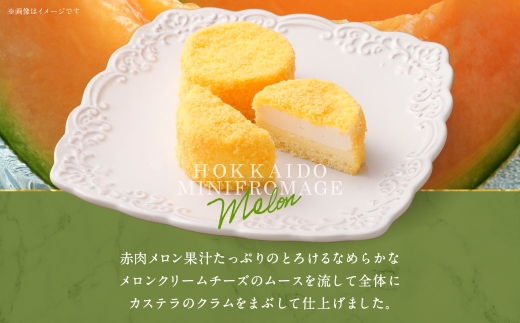 【2回定期便】 北海道ミニフロマージュ （メロン） 約900g×2回 合計約1.8kg ミニフロマージュ フロマージュ チーズケーキ ケーキ スイーツ 洋菓子 冷凍 北海道 小樽市