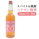 【ふるさと納税】スパイス＆焼酎 シナモン梅酒 700ml 1本/2本/3本 選べる本数 お酒 アルコール スパイス焼酎 本格焼酎 焼酎 梅酒 球磨焼酎 リキュール 人吉市 送料無料