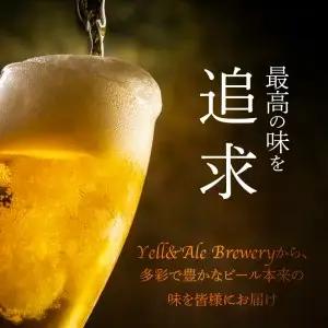 クラフトビール　飲み比べおすすめ6種セット　ビールコンテスト受賞の醸造所 Yell&Ale Brewery H01003