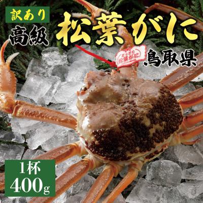 ふるさと納税 琴浦町 【活】 《訳あり》厳選松葉がに 1杯(400g×1杯) 2026年11月発送 N37_I