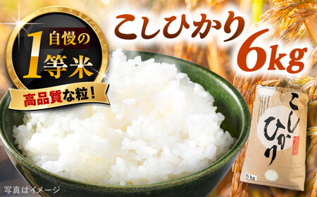 上矢作産 農家自慢のこしひかり（精米）6kg [AUAL001]こしひかり