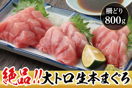 【冷蔵】絶品！生本マグロ　大トロ 800g（柵どり）