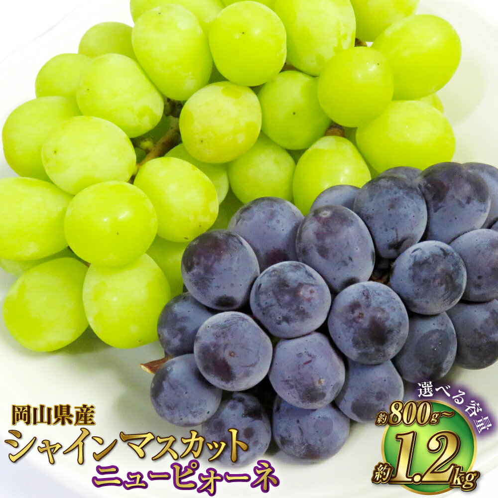 【ふるさと納税】【選べる容量】岡山県産 シャインマスカット 晴王 ニューピオーネ 詰合せ 計約800g～約1.2kg 葡萄 ピオーネ ぶどう ブドウ マスカット 果物 くだもの フルーツ 詰め合わせ 贈り物 ギフト 冷蔵 岡山県 奈義町 送料無料 【2026年6月下旬～7月下旬発送予定】