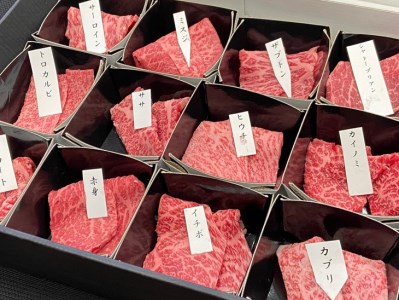 京の肉 ひら山厳選 京都府産 黒毛和牛 希少部位 12種盛 食べ比べセット 計600g《最高級 A5ランク 熟成 熟成肉 冷蔵 牛焼肉 和牛焼肉 肉焼肉 牛肉焼肉 亀岡牛焼肉 京都肉焼肉 国産 国産牛