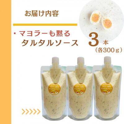 ふるさと納税 川棚町 スムージー専門店が作った「マヨラーも黙るタルタルソース 」300g×3パック |  | 01