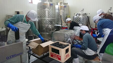 丘の上 幸西ワイナリー 2024 4種飲み比べセット | ワイン セット お酒 丘の上 幸西ワイナリー ノンバリック 長野県 塩尻市 