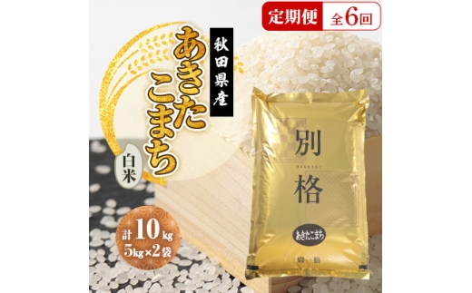 ＜毎月定期便＞あきたこまち 白米 10kg(5kg×2袋)全6回【4080808】