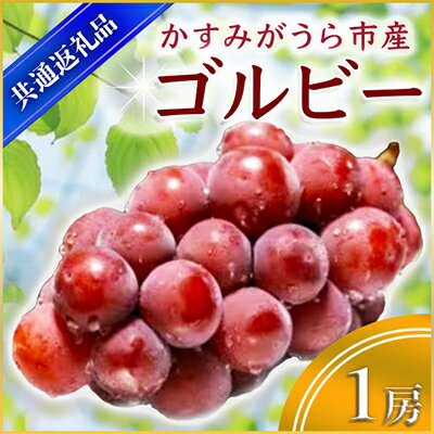 【ふるさと納税】【2025年9月上旬より順次発送予定】ゴルビー　1房(県内共通返礼品:かすみがうら市産)【配送不可地域：離島・沖縄県】 (BR042)