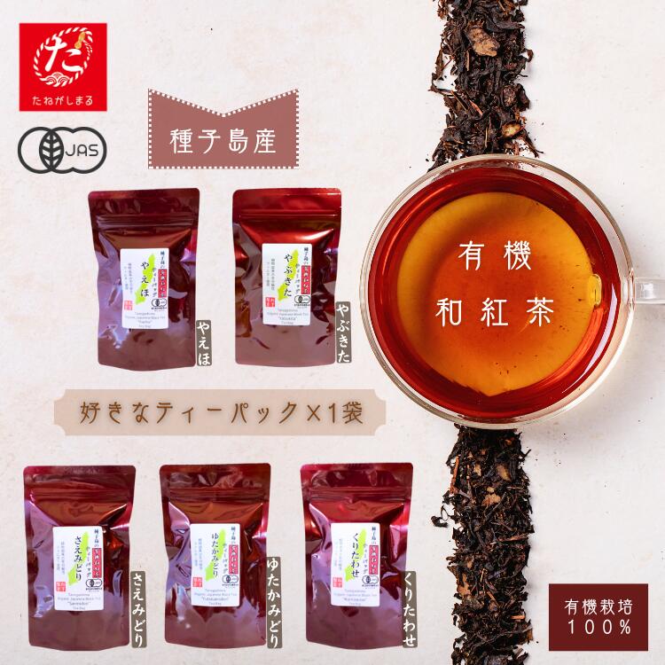 【ふるさと納税】種子島 の 選べる 有機 和紅茶 ティーバッグ 1種 松下製茶