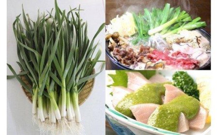【にんにく】葉にんにく150g ×4 袋 