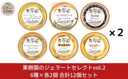 果樹園のジェラートセレクトvol.2 [6種×各2個] 合計12個セット  ジェラート詰合せ アイス詰合せ  [田沢農園] 【019S037】