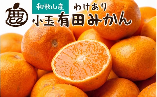 
                  【先行予約】家庭用 小さな有田みかん（完熟）2.5kg+250g（傷み補償分）※11月より順次発送【わけあり・訳あり】【光センサー選果】※北海道・沖縄・離島への配送不可 / みかん 果物 フルーツ オレンジ ミカン 果実 【ikd153C】
                
