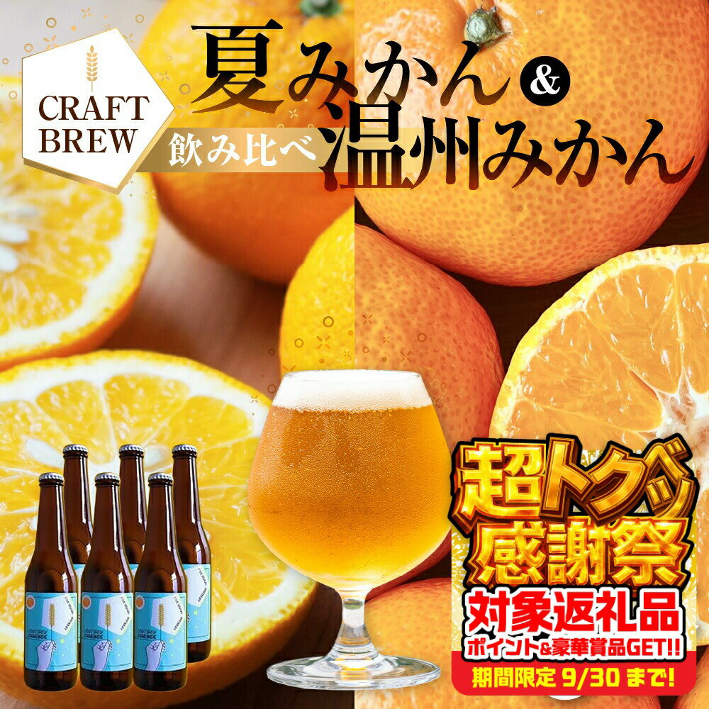 【ふるさと納税】東三河の地産地消にこだわったクラフトビール『DAMONDE』夏みかん・温州みかん（2種6本セット） ビール ビールセット 贈答 ギフト お祝い お酒 地ビール 地酒 瓶ビール おススメ ギフト プレミアムビール BBQ 差し入れ クラフト 麦酒 愛知県 豊橋市