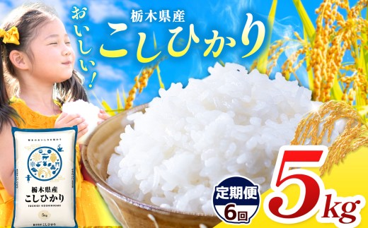 【栃木県共通返礼品】【令和7年度産】栃木県産コシヒカリ 30kg |定期便 選べる ふるさと 納税 コシヒカリ お米 精米 白米 玄米 大粒 共通返礼品 送料無料 那珂川町 栃木県