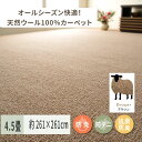 【ふるさと納税】天然ウール100%の 防炎 カーペット 1枚 4.5帖 ブラウン 約261×261cm 600023645｜防炎 防ダニ 抗菌加工 防音 オールシーズン ウールカーペット インテリア 天然素材 [3536]