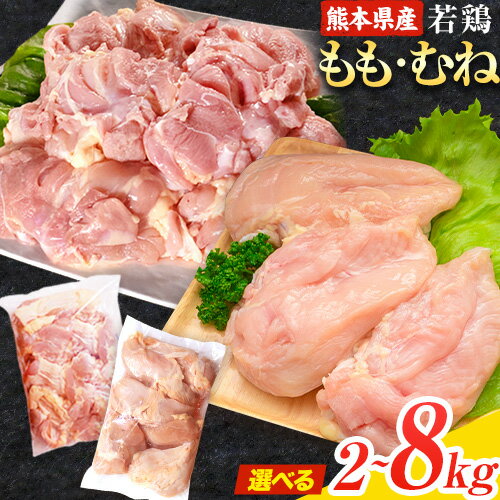 【ふるさと納税】選べる 大容量 鶏肉 熊本県産 若鶏もも肉 むね肉 若鶏むね肉 もも肉 たっぷり大満足 2kg 4kg 6kg 8kg《30日以内に出荷予定(土日祝除く)》 モモ肉 モモ 若鶏モモ 鶏モモ ムネ 鶏ムネ ムネ肉 若鶏ムネ 鶏肉 鶏皮