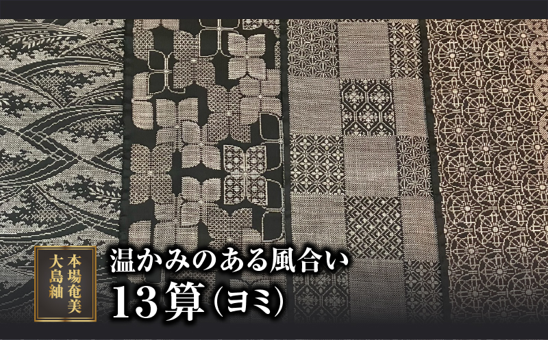 【本場奄美大島紬】温かみのある風合いが特徴の13算　A060-006