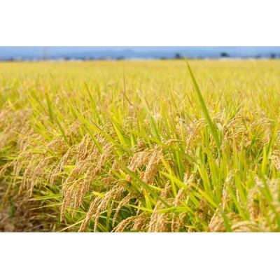 ふるさと納税 三沢市 【毎月定期便】青森県産　まっしぐら　白米10kg全3回 |  | 02