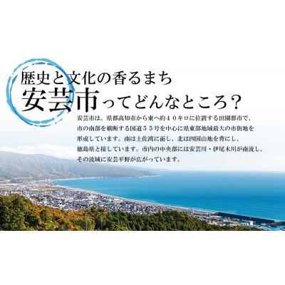 ふるさと納税 安芸市 マグロ 漬丼 90g×3パック |  | 02
