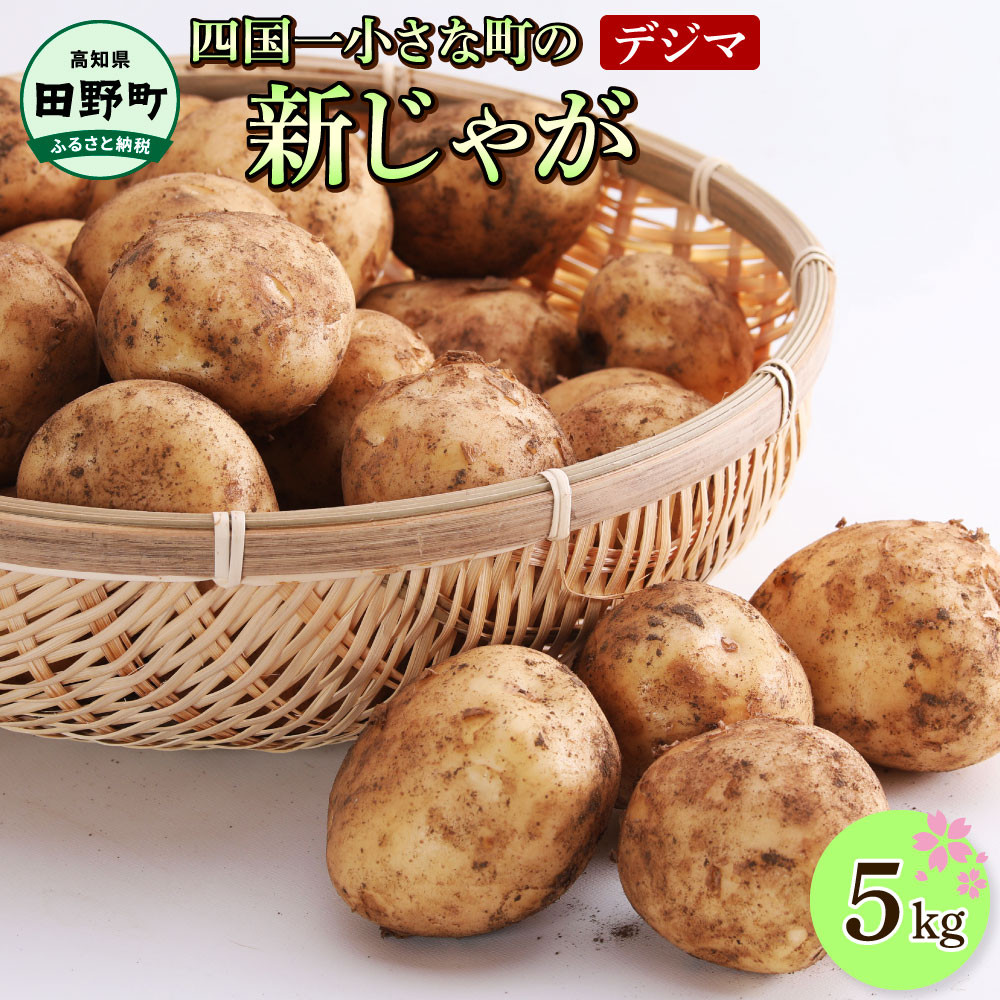 
            ★先行受付：2026年5月発送開始★大野台地で採れた令和8年産新じゃがいも『デジマ』5kg 5キロ イモ ジャガイモ 芋 いも ポテト 野菜 おいしい ふっくら 旬 国産 お取り寄せ 送料無料
          