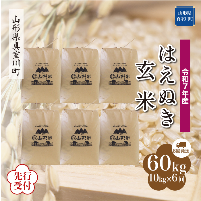 ＜令和7年産米先行受付＞ 真室川町産 はえぬき 【玄米】60kg定期便(10kg×6回)　配送時期指定できます！