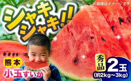 【2026年発送分先行予約 数量限定】小玉すいか 秀品 2玉 約2kg～3kg スイカ[AYAT008]