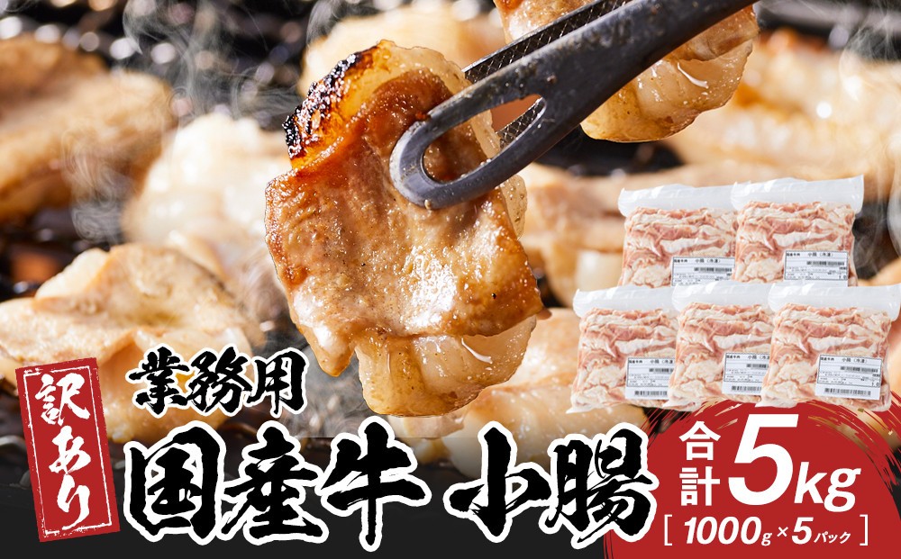 
            《業務用・訳アリ》国産牛　小腸　5kg
          