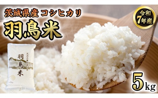 
                  《 令和7年産 先行予約 》 コシヒカリ 「幻の米 羽鳥米」 5kg (5kg × 1袋) 筑波北麓秘蔵米 お米 ごはん 精米 コメ 白米 国産 茨城県 桜川市 限定 期間限定 数量限定 銘柄米 [AX011sa]
                