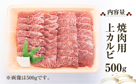 白川郷 飛騨牛 上カルビ 焼肉 用 500g 高山米穀 焼肉 [S568]