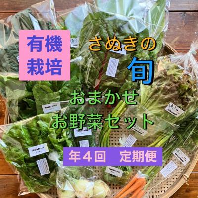 ふるさと納税 さぬき市 【3ヵ月毎定期便】さぬき市小田産の食を楽しむTAGATAMEのお任せお野菜セット7〜10品全4回