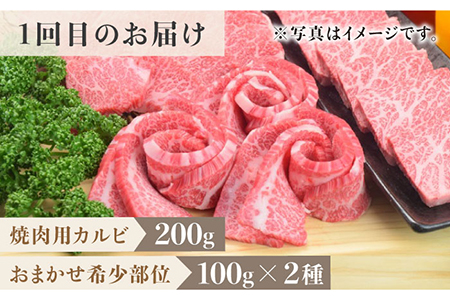 【全3回定期便】1ヶ月に1度の佐賀牛ひとり贅沢コース ステーキ/焼肉/スライス 牛肉 希少 赤身 カルビ ヒレ サーロイン モモ 切り落とし[FAY065]