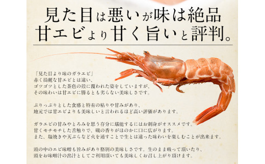 ＜数量限定＞ 福井県敦賀産ガラ海老 約1kg 約70尾入り 船上凍結【塩荘 しおそう 敦賀 ガサエビ ガラエビ がさえび がらえび がまえび えび エビ 海老 冷凍 急速冷凍 お中元 お歳暮 ギフト 贈り物 プレゼント】[053-a029]