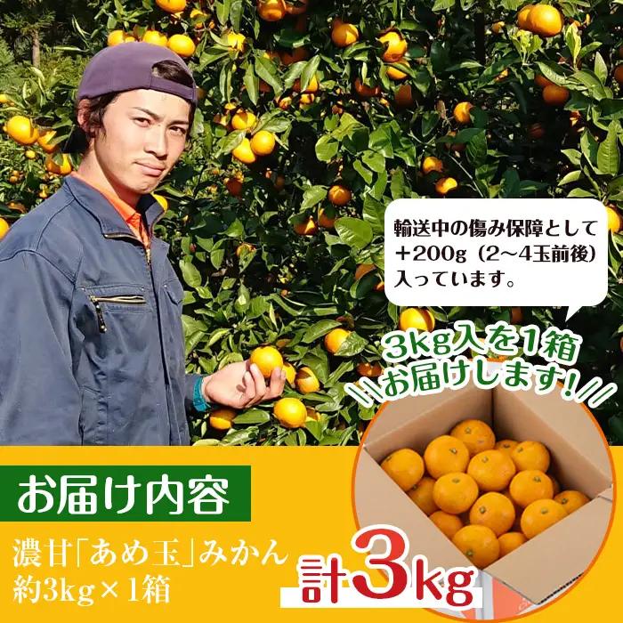 i687 【特別栽培・最高金賞】濃甘あめ玉みかん(3S~M / 約3kg・1箱＋傷み保障約200g(3～4玉)) みかん 蜜柑 ミカン 柑橘 果物 フルーツ 果実 国産 鹿児島 【Farmer fri