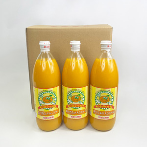 【和歌山県有田産】100%温州みかんジュース (970ml×12本セット)/ジュース みかん  【tss006】