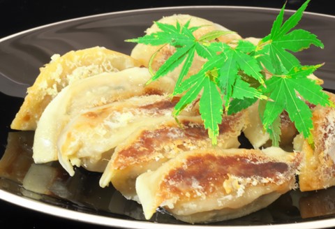 手づくり餃子 銀の羽 40個入【ぎょうざ ジューシー コラーゲン ビールのおつまみ ボリューム 小分け】 Z2-A007005