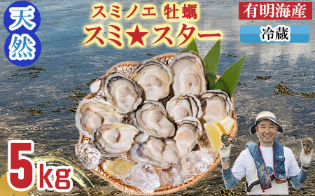【先行予約】【2月配送】【天然】 有明海産 冷蔵スミノエ牡蠣 スミ☆スター5キロ C220-010-02