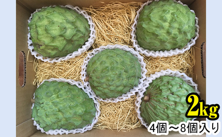 【2025年12月中旬から順次発送】アテモヤ 2kg “森のアイスクリーム”とも呼ばれる希少なフルーツ