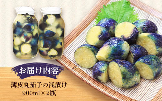 飯豊ばあちゃんの漬物 置賜特産 薄皮丸茄子の浅漬け - 先行受付 予約受付 先行予約 浅漬け 漬物 なす ナス ご飯のお供 おつまみ おすすめ 送料無料 山形県 飯豊町