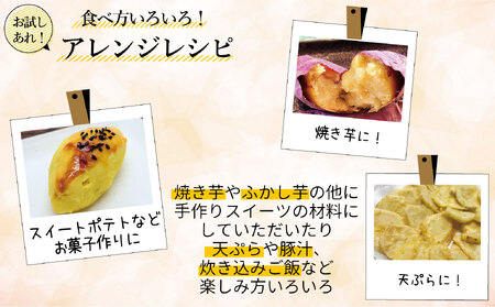 新地町産 紅はるか 生さつまいも 5kg 　2025年11月以降順次発送