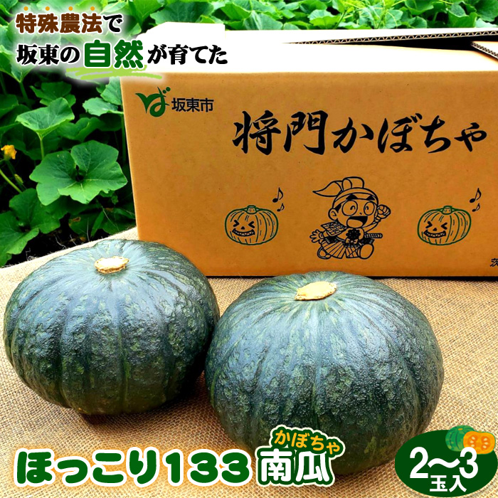 特殊農法で坂東の自然が育てた「ほっこり133南瓜」2～3玉入 No.842