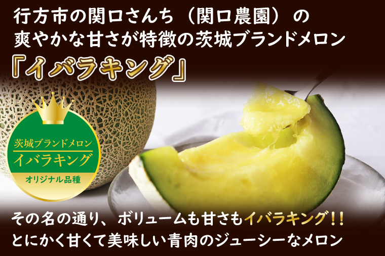 【2026年5月より順次発送】イバラキングメロン＆クインシーメロン（各1玉／計2玉）｜メロン クインシーメロン イバラキングメロン フルーツ 果物 くだもの セット 先行予約 茨城県 行方市(BW-2