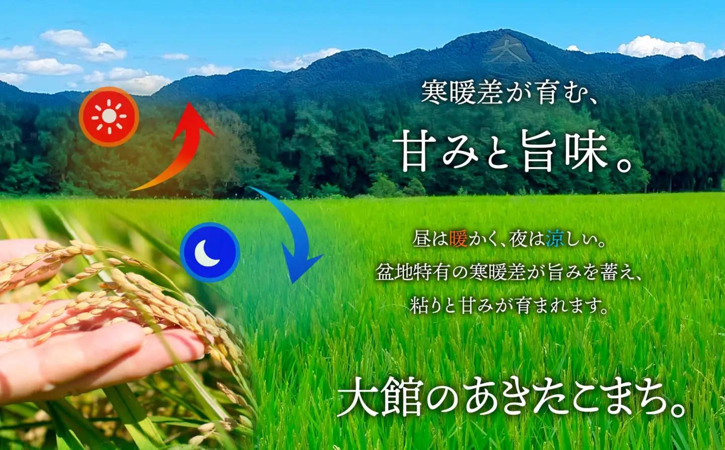 【令和7年産】秋田県大館産あきたこまち5kg　50P126001【JAあきた北精米センター】