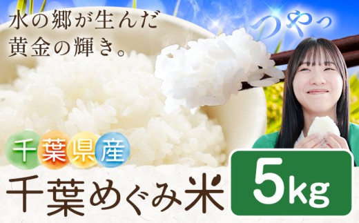米 お米 千葉県産 千葉めぐみ米 5kg 千葉県我孫子市《9月下旬-10月末頃出荷予定》白米 精米 国産 5キロ 千葉県我孫子市