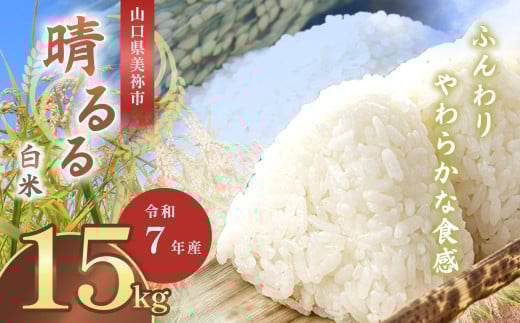 令和7年度産 新米晴るる 白米15kg 先行予約 ＜ 2025年10月～より順次発送予定 ＞ ｜ 米 精米 新米 白米 米 雑穀 お米 コメ 単一米 晴るる はるる  山口 美祢 秋吉台 15kg