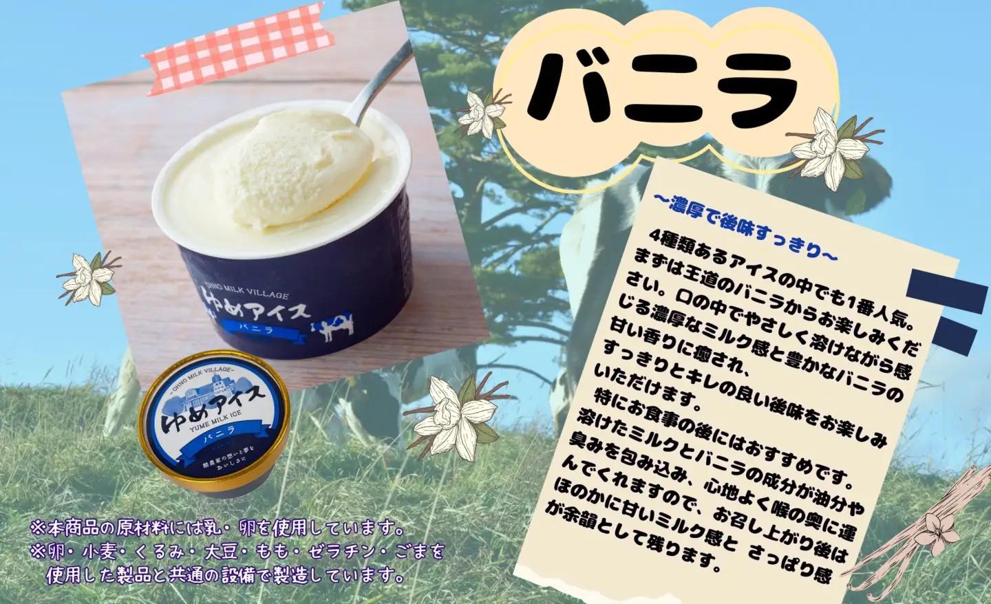 【3ヵ月定期便】おおのミルク村 ゆめアイス6個セット（バニラ・クリームチーズ・塩バニラ・ラフランス）