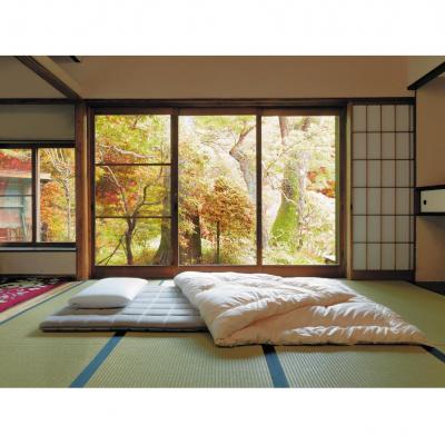 ふるさと納税 大府市 【大府市産新米5合付き】エアウィーヴ 四季布団  セミダブル