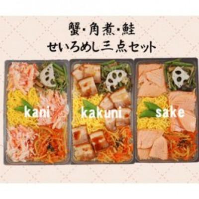ふるさと納税 伊勢崎市 冷凍　せいろめし　3種類