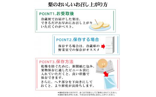 【先行予約】熊本県氷川町産 吉野梨秋麗 約5kg(14～16玉前後) 《8月中旬-9月上旬頃出荷》 JAやつしろ梨部会---sh_cjashurei_g8_23_16000_5kg---